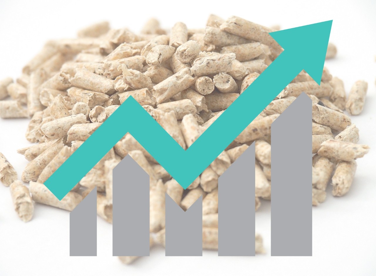 Pellet price keeps rising