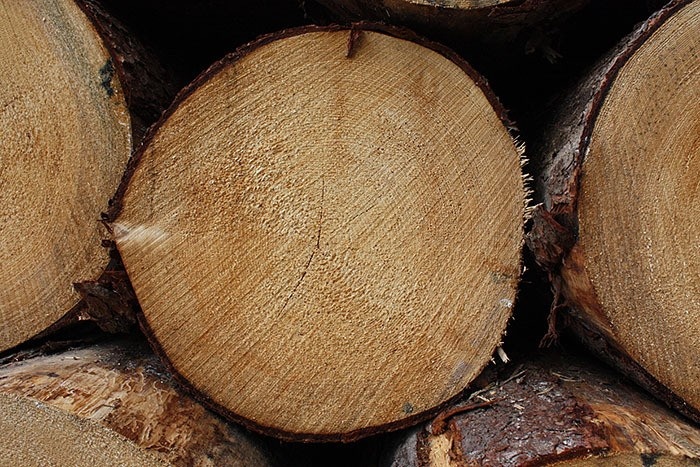 Austrian logging volume drops 3.5%