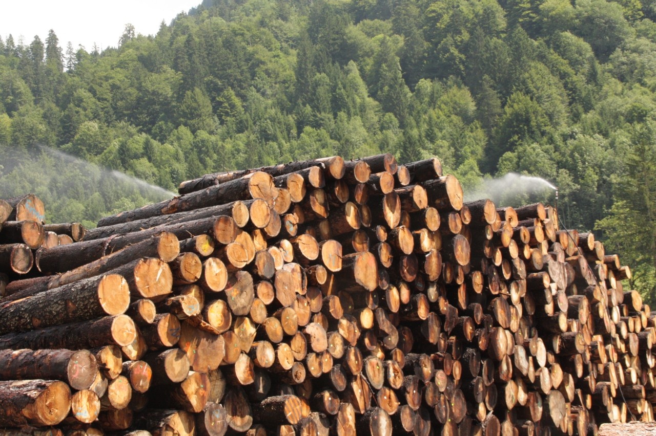 Log prices with different developments