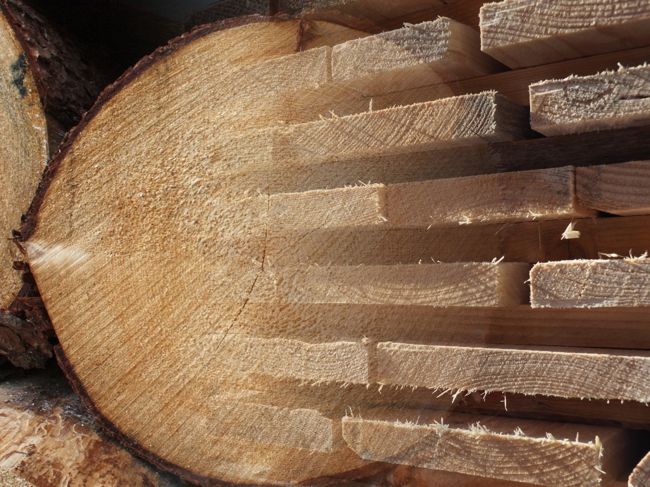 Log and lumber price indices nearly identical