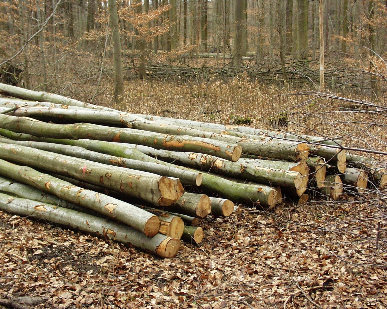 Further key contracts concluded in southern and central Germany