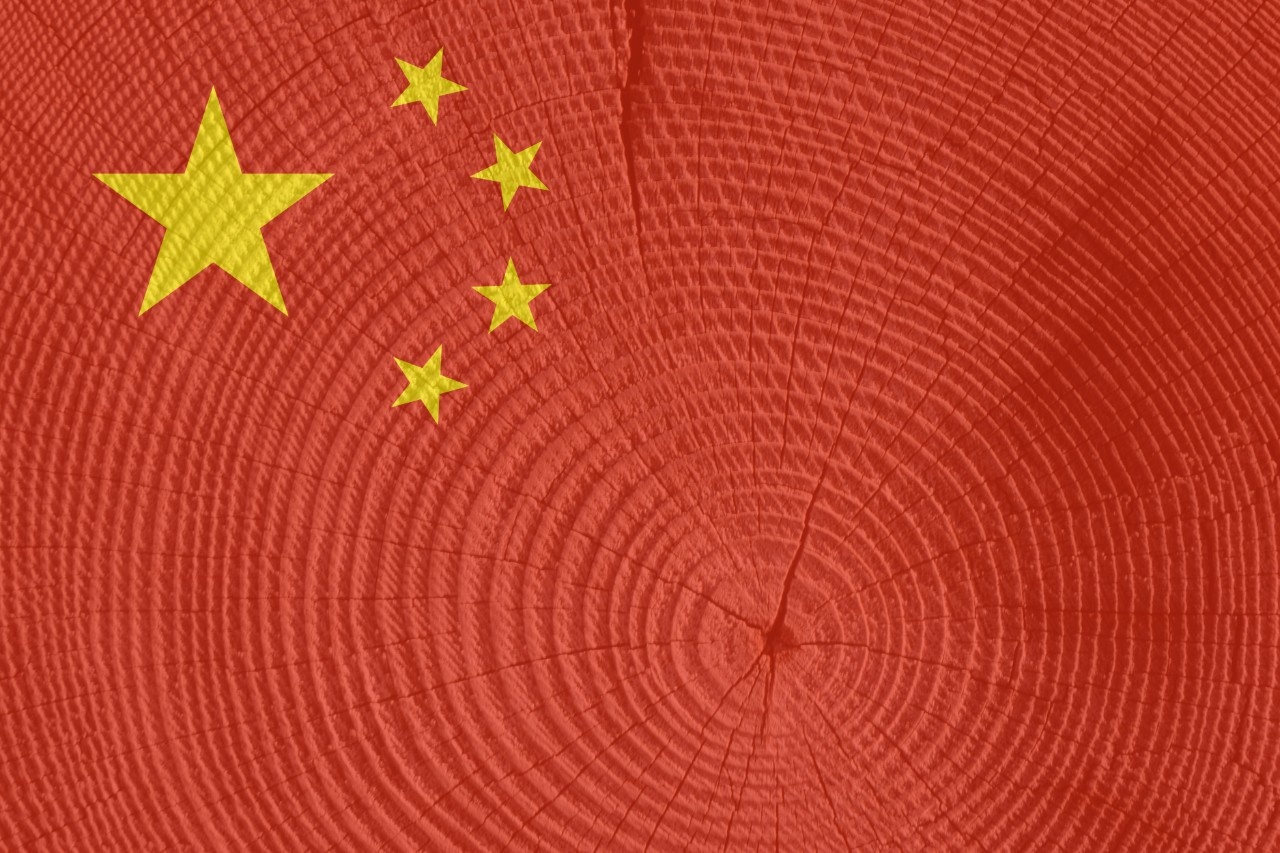 Smaller volumes of softwood logs to China