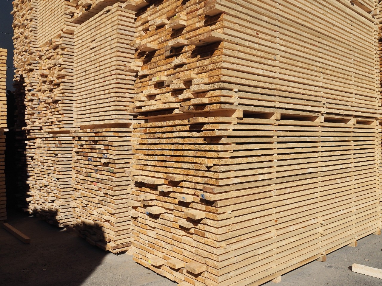 The world’s biggest sawmills in 2021