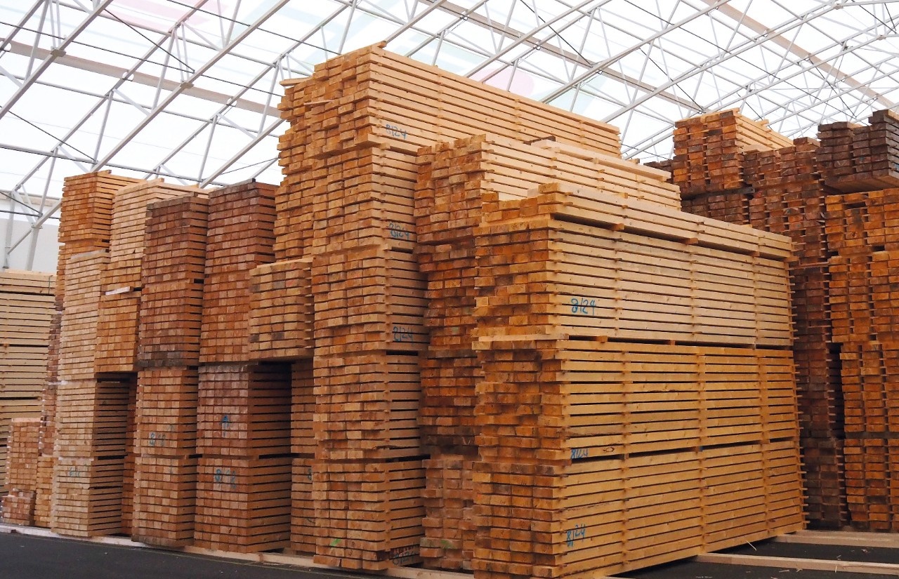 German sawmill industry with a 24 increase in sales