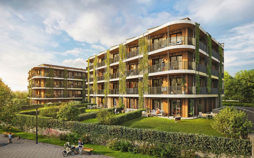 Pfeifer Timber “The challenges are big, but not insurmountable”