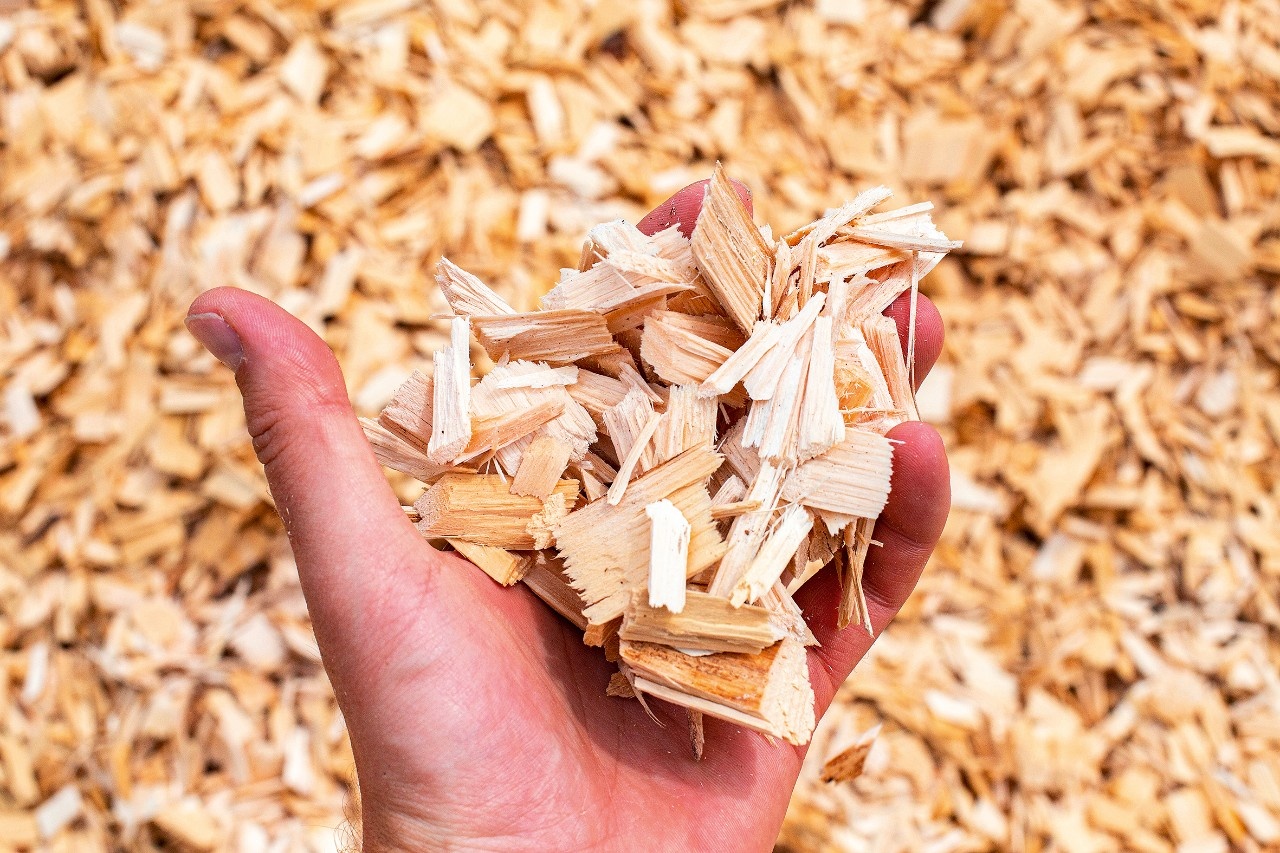 Wood Chips Sawdust 04 2022